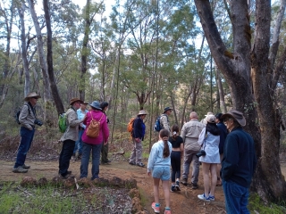 Jarrahdale Jaunt - 2